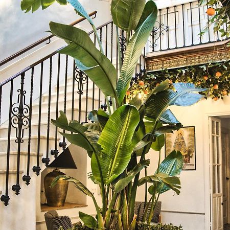 Casa Rural Casa Levante 아르코스델라프론테라 외부 사진