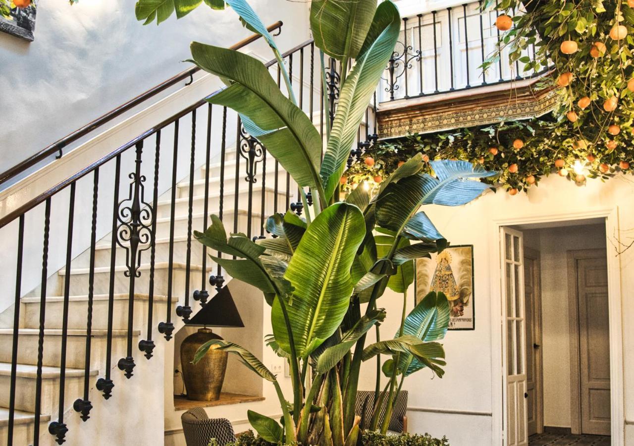 Casa Rural Casa Levante 아르코스델라프론테라 외부 사진